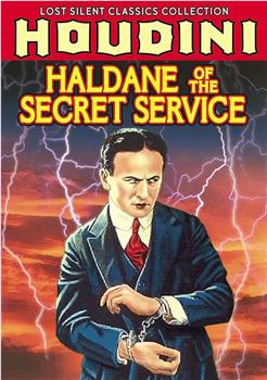 Haldane of the Secret Service在线观看和下载