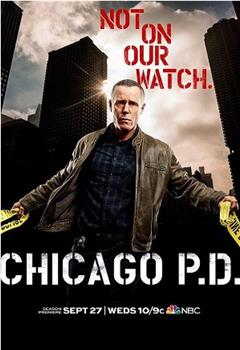 芝加哥警署 第五季在线观看和下载