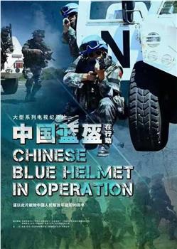 中国蓝盔在行动在线观看和下载
