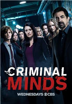 犯罪心理 第十三季在线观看和下载