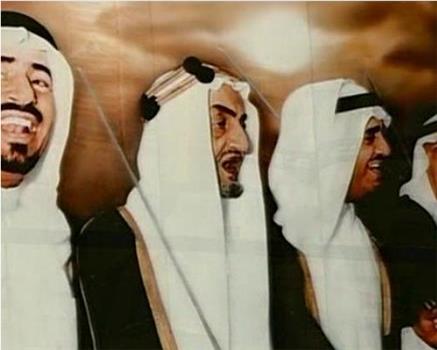沙特王室与美国外交在线观看和下载