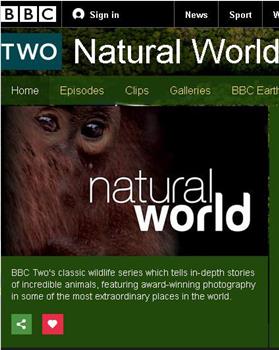BBC自然世界：狒狒在线观看和下载