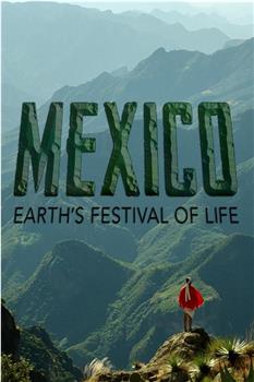 墨西哥：地球生命的狂欢在线观看和下载