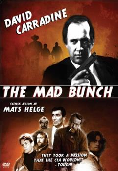 The Mad Bunch在线观看和下载