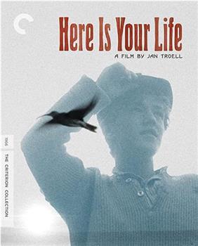 Jan Troell on 'Here Is Your Life'在线观看和下载