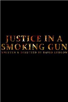 Justice in a Smoking Gun在线观看和下载