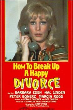 How to Break Up a Happy Divorce在线观看和下载