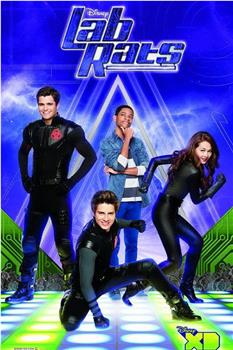 Lab Rats Season 4在线观看和下载