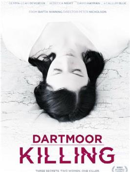 Dartmoor Killing在线观看和下载