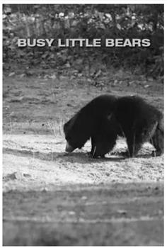 忙碌的小熊在线观看和下载