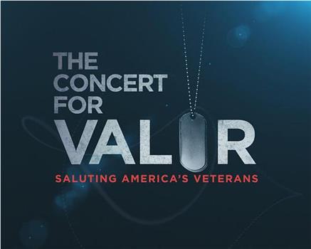 The Concert for Valor在线观看和下载