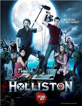 霍利斯顿 第一季在线观看和下载