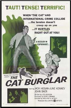 The Cat Burglar在线观看和下载