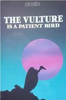 L'avvoltoio può attendere在线观看和下载