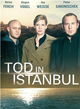 Tod in Istanbul - Jeder hat seinen Preis在线观看和下载