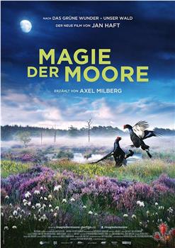 Magie der Moore在线观看和下载