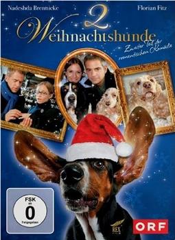 Zwei Weihnachtshunde在线观看和下载