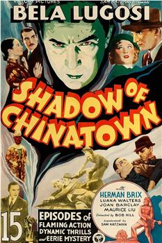 Shadow of Chinatown在线观看和下载