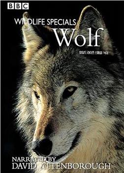 BBC Wildlife Specials—Wolf在线观看和下载