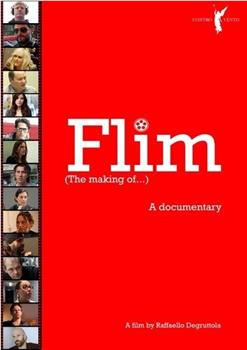 Flim: The Making of...在线观看和下载