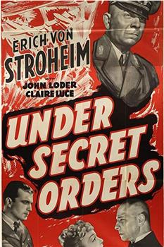 Under Secret Orders在线观看和下载