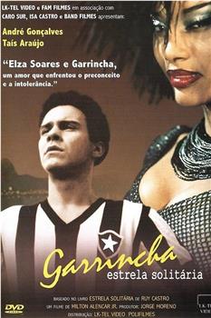Garrincha - Estrela Solitária在线观看和下载