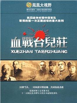 决胜：台儿庄战役70周年祭在线观看和下载