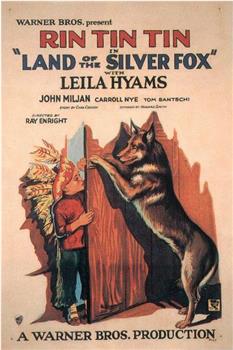 Land of the Silver Fox在线观看和下载