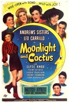 Moonlight and Cactus在线观看和下载