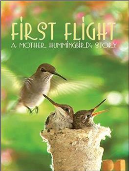 First Flight: A Mother Hummingbird's Story在线观看和下载