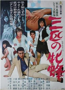 三匹の牝蜂在线观看和下载