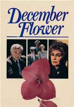 December Flower在线观看和下载