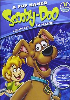 A Pup Named Scooby-Doo在线观看和下载
