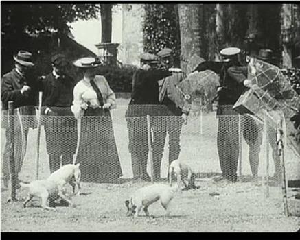 疯狂电影放映：欧洲集市影院1896-1916在线观看和下载