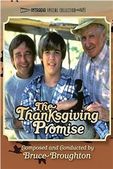 The Thanksgiving Promise在线观看和下载