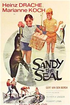 Sandy the Seal在线观看和下载