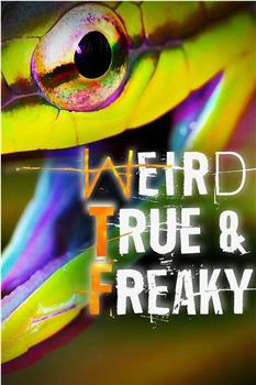 Weird, True & Freaky在线观看和下载