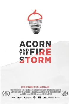 Acorn and the Firestorm在线观看和下载