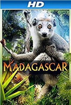马达加斯加 3D在线观看和下载