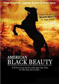 American Black Beauty在线观看和下载
