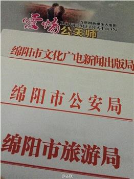 爱情公关师在线观看和下载