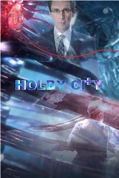 霍尔比市 第十六季在线观看和下载