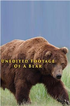 一头熊的未剪辑影像在线观看和下载