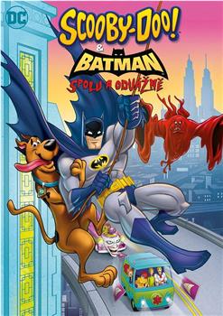 史酷比与蝙蝠侠：英勇无畏在线观看和下载