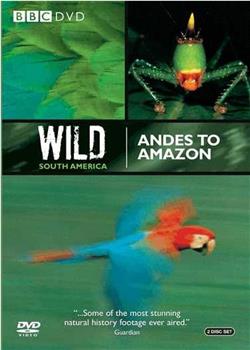 Andes to Amazon在线观看和下载