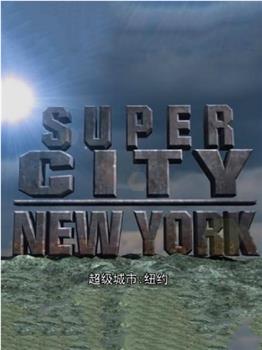 超级城市：纽约在线观看和下载