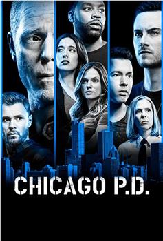 芝加哥警署 第六季在线观看和下载