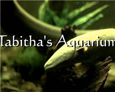 Tabitha's Aquarium在线观看和下载