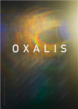 Oxalis在线观看和下载