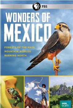 Wonders of Mexico Season 1在线观看和下载